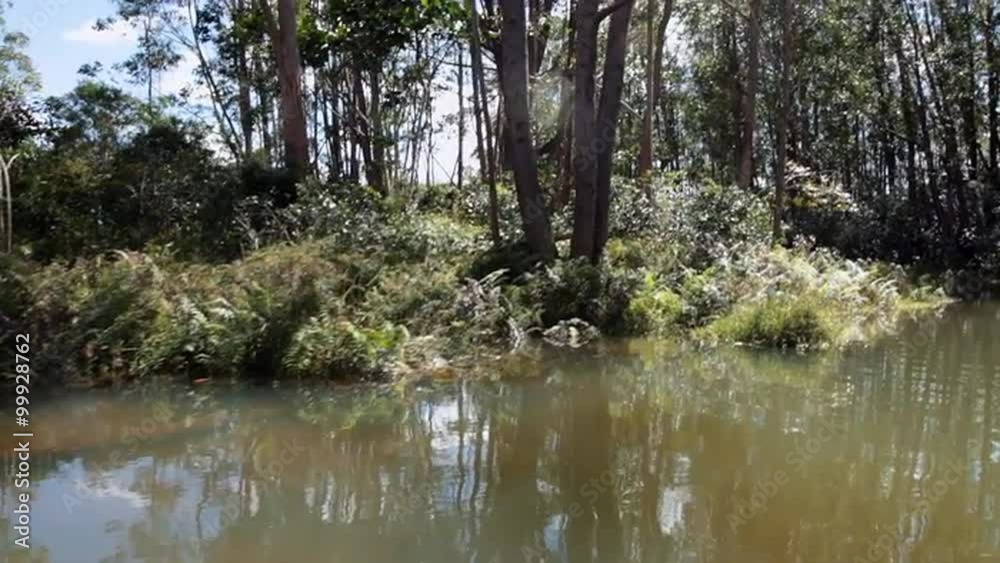 View of the jungle from canoe floating down the river. View of the jungle from canoe floating down the river.