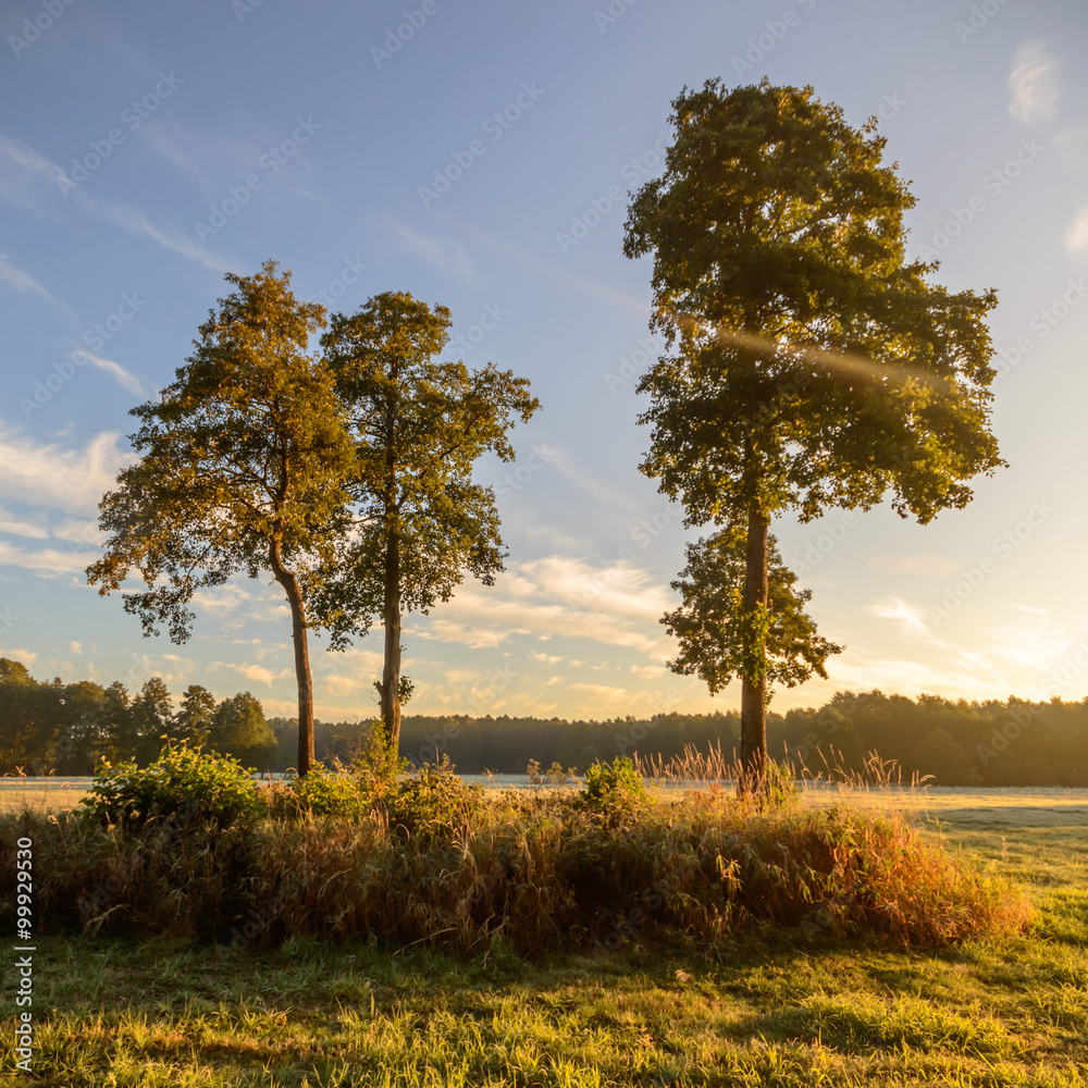 Obraz premium blue sky