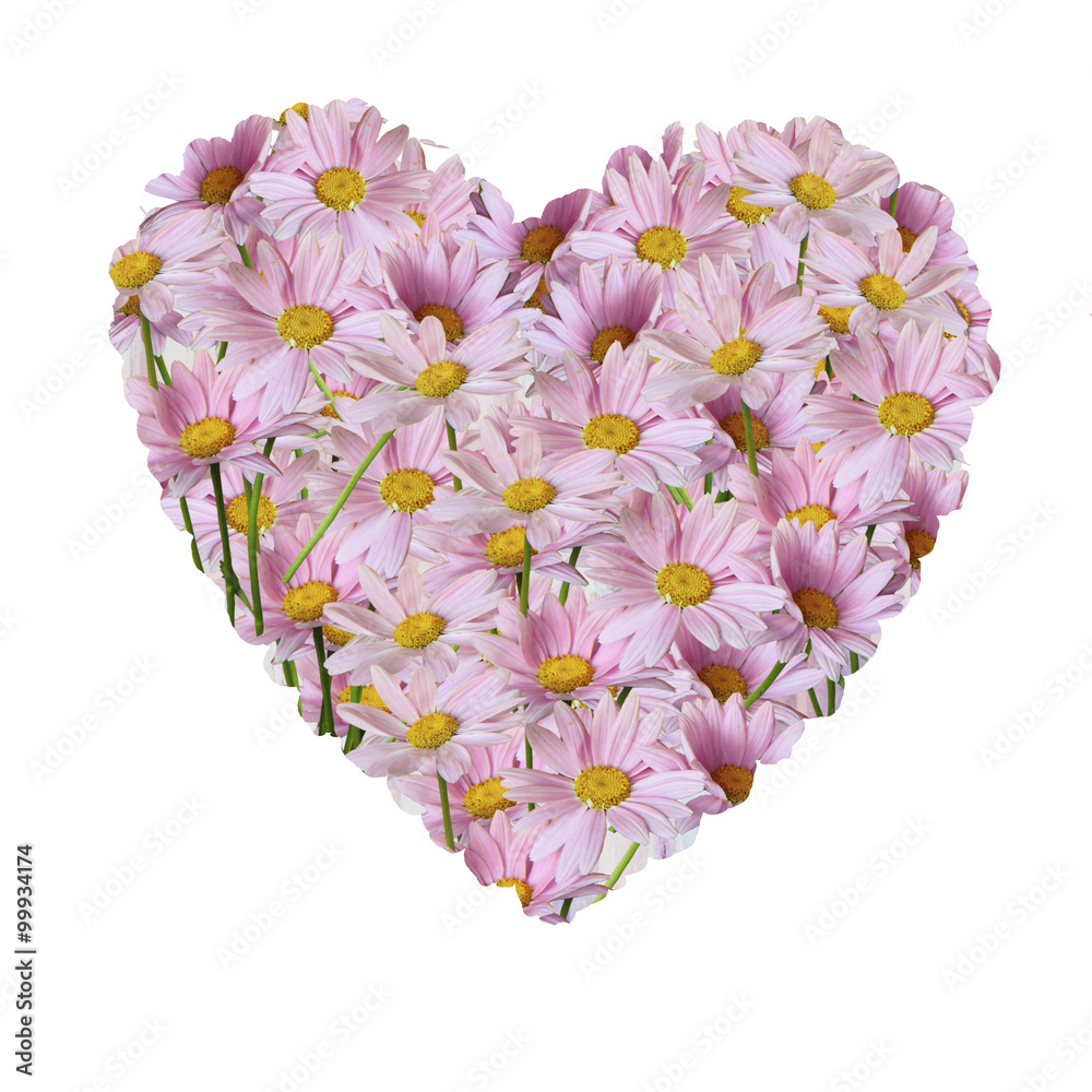 Obraz The heart of bouquet of pink daisies isolated on a white backgro