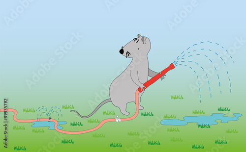 Mouse with a hose watering lawn