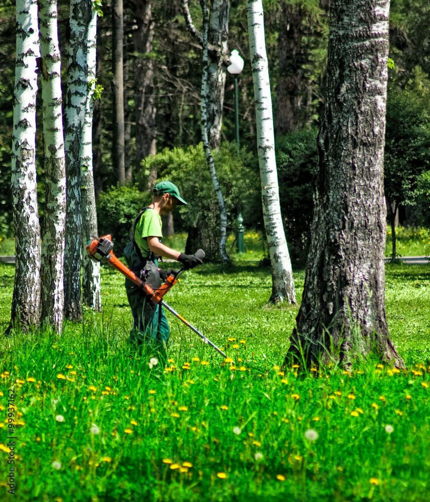 Image of working with the mower in a park close-up Image of working with the mower in a park close-up