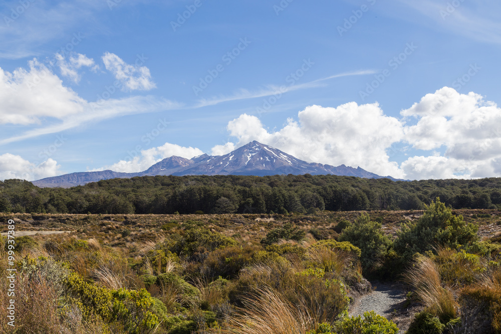 View of Mount Ruapehu