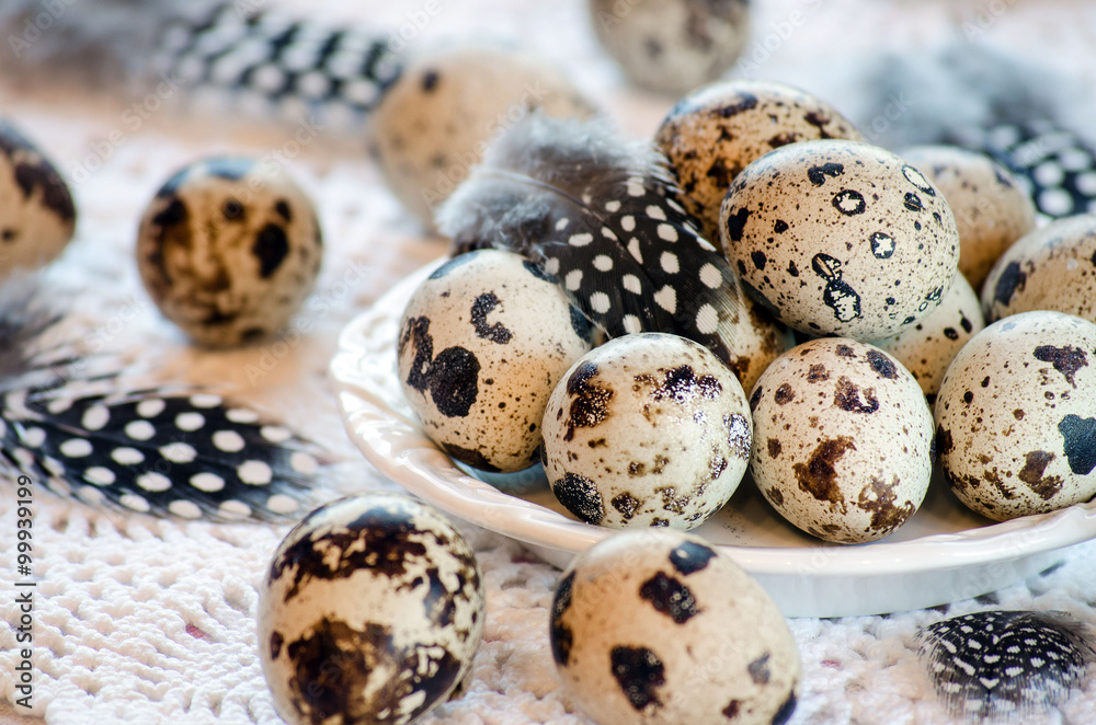 Obraz premium Quail eggs on a platter on the table and feathers