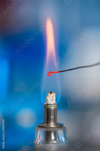 Canvas Print Microbiological inoculation loop in a flame