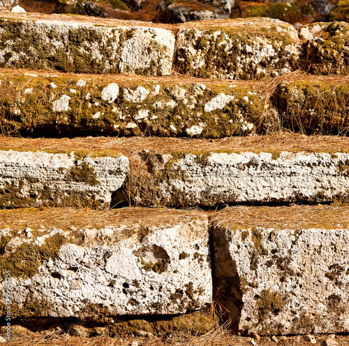 pine needles    ruins stone and theatre in  antalya  arykanda tu photo