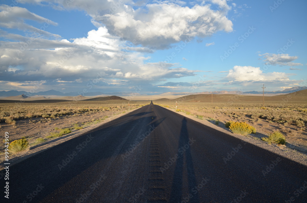 Fototapeta premium Long Straight Desert Highway