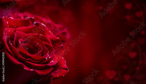 Fototapeta Naklejka Na Ścianę i Meble -  Rose. Red roses.  Bouquet of red roses. Valentines Day, wedding day background. Rose petals and hearts Valentine gift boxes. Valentines and wedding border. Waters drops on roses petals.