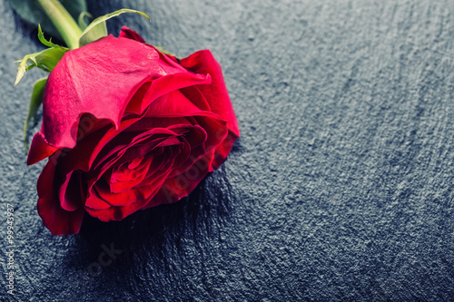 Rose. Red roses.  Bouquet of red roses. Valentines Day, wedding day backgroun...