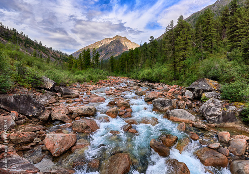 Rapid mountain river flows