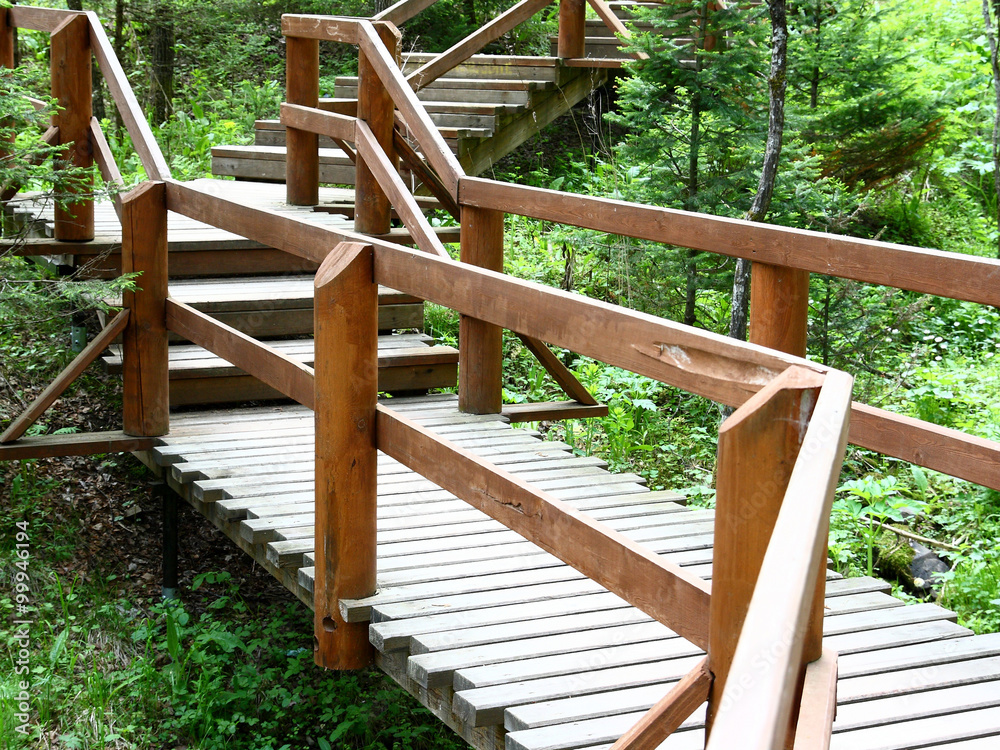 Wooden path in the woods 2. Wooden path in the woods 2.