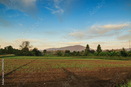Agricultural landscape in countryside with beautiful blue sky in