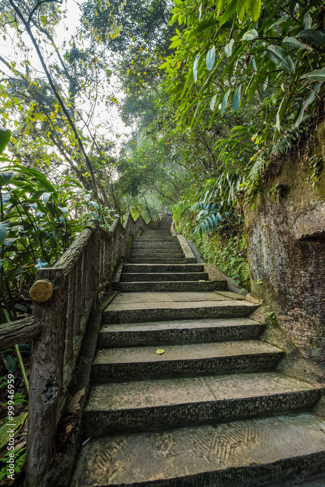 walkway on Giant Buddha scenic spot -Leshan,China walkway on Giant Buddha scenic spot -Leshan,China