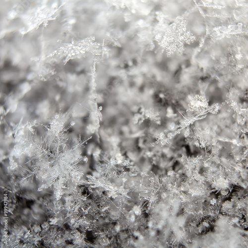 real macro close-up of snowflakes lying a handful 