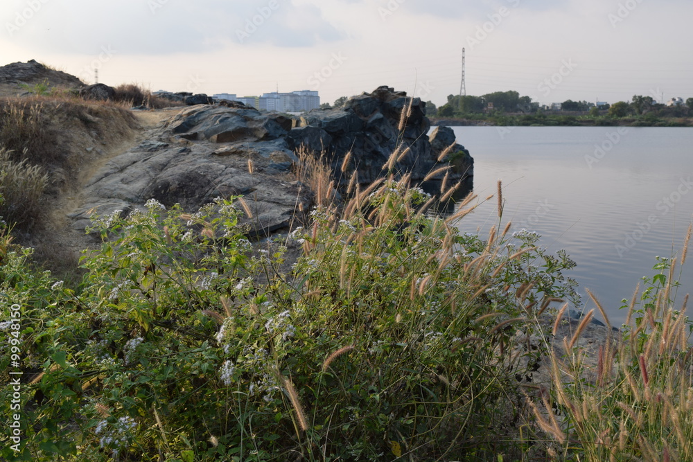 rocky pond in Ho Chi Minh City, Vietnam