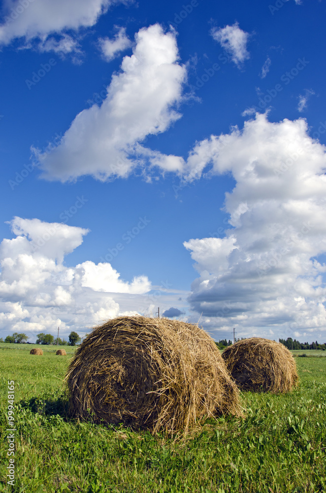 Haystacks in the field on cloudy day Haystacks in the field on cloudy day