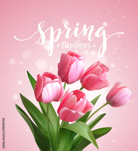 Spring text with  tulip flower. Vector illustration #99948704
