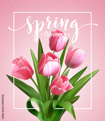 Spring text with  tulip flower. Vector illustration