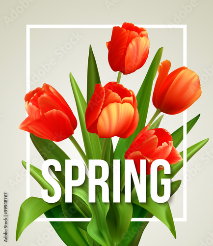 Spring text with tulip flower. Vector illustration