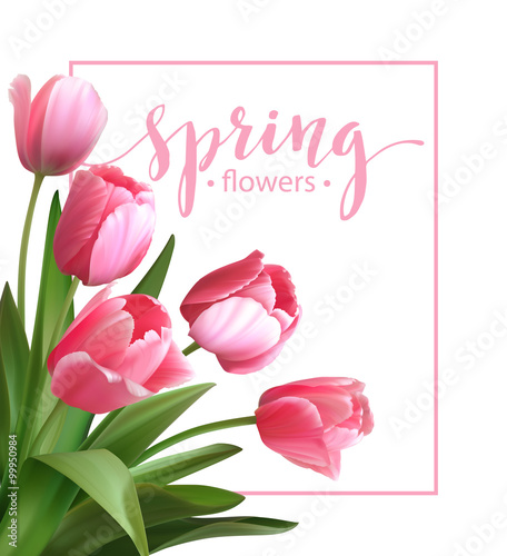 Wallpaper Mural Spring text with  tulip flower. Vector illustration