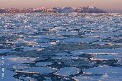 Billede på lærred Sea Ice - Greenland