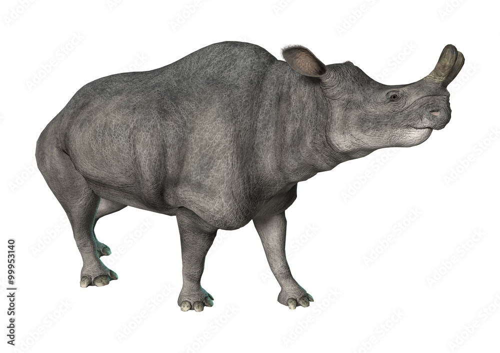 Obraz premium Brontotherium or Thunder Beast