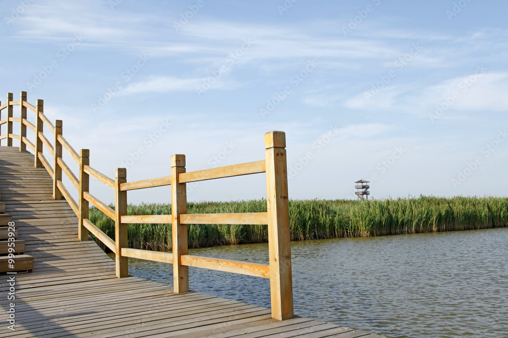 The wood bridge in wetland park The wood bridge in wetland park