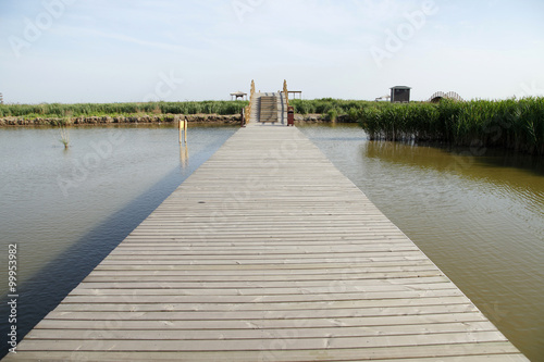 Wallpaper Mural The wood bridge in wetland park Torontodigital.ca