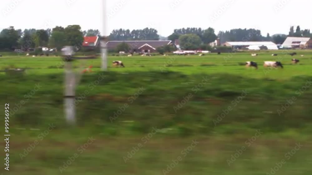 Shot of Amsterdam countryside