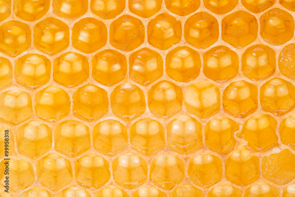 Honeycomb. High-quality picture. Honeycomb. High-quality picture.