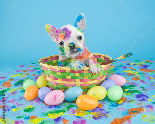Painted Easter Puppy