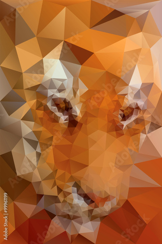 Fototapeta Naklejka Na Ścianę i Meble -  Triangular Tiger Face