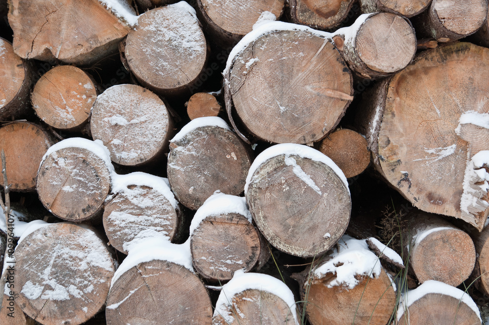 Fototapeta premium Winter wood logs