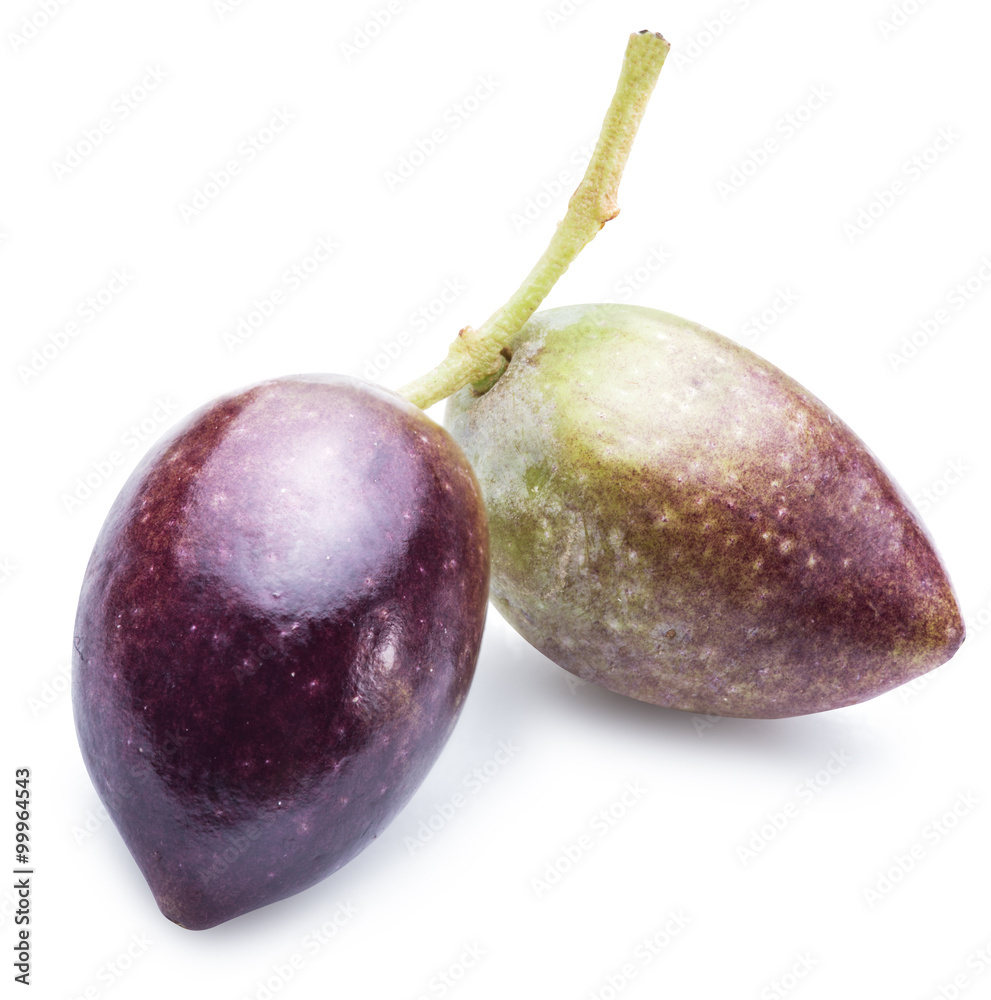 Half-ripe (semi-ripe) fresh olives with leaves.