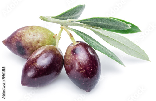 Three fresh olives with leaves on the white background.