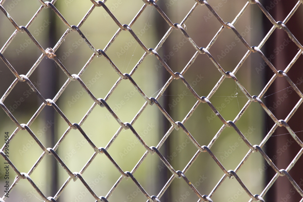 Background of the metal mesh on the nature Background of the metal mesh on the nature