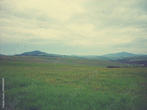 Early spring landscape in the countryside on a cloudy, rainy day; green fields and hills. Image filtered in faded, retro, Instagram style with soft focus.