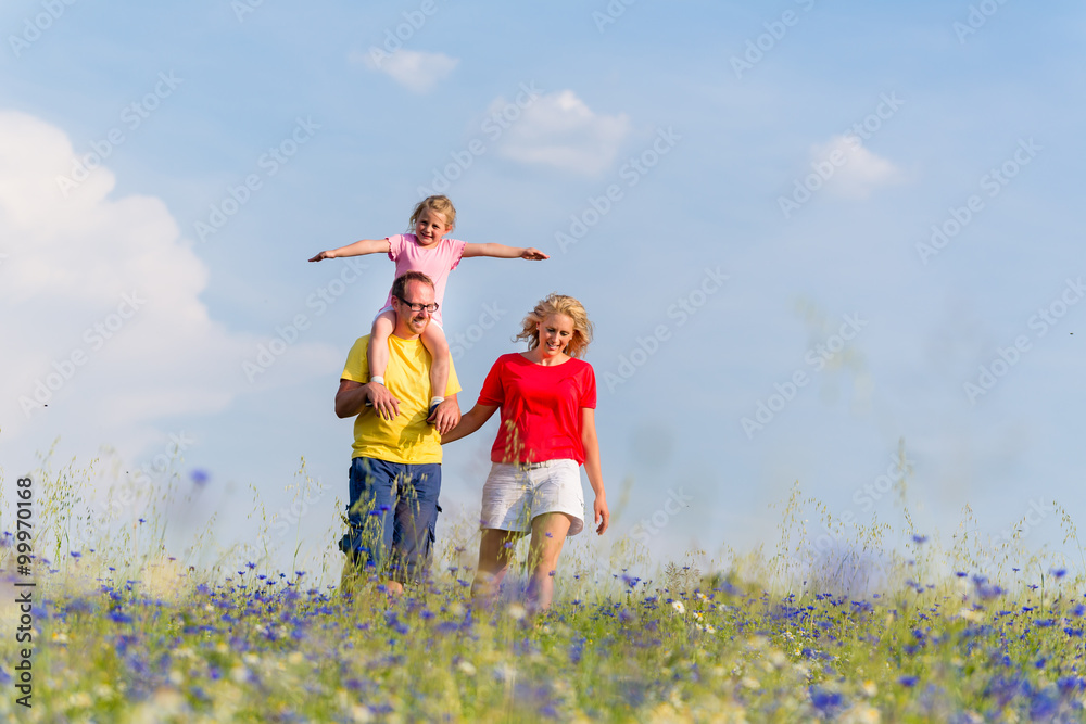 Fototapeta premium Family having walk on meadow with flowers