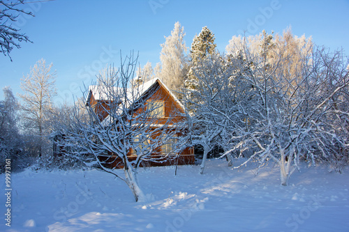 зимний дом и заснеженные деревья ,освещенные солнцем