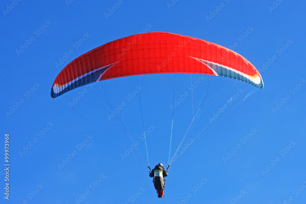 Obraz premium Paraglider