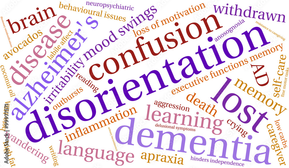 Disorientation Word Cloud Disorientation Word Cloud
