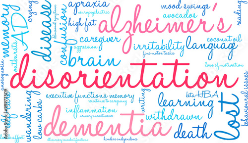 Disorientation Word Cloud