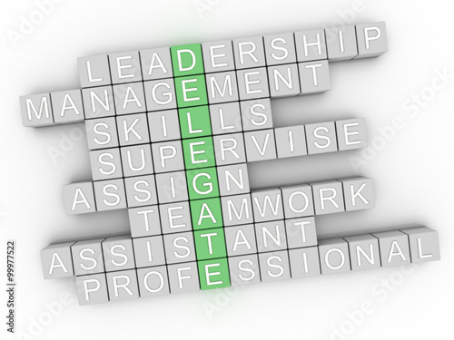 3d image Delegate word cloud concept