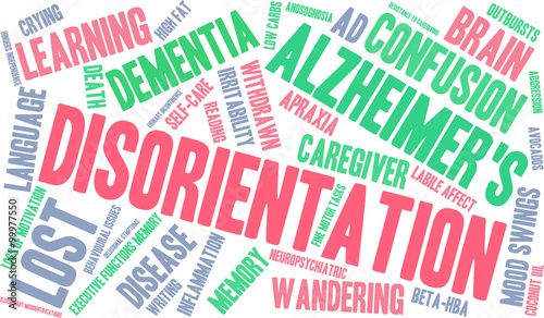 Disorientation Word Cloud