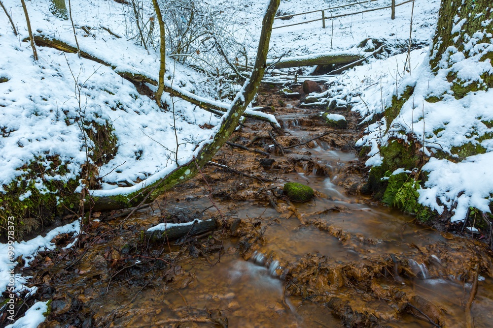 Close up of small stream in winter forest Close up of small stream in winter forest