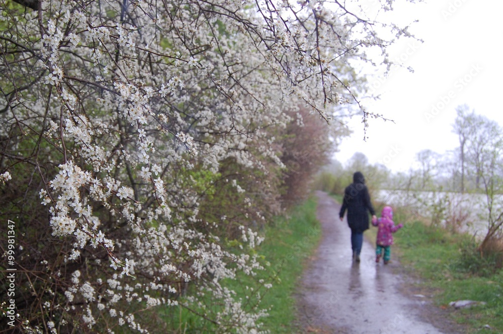 Vårpromenad i regn