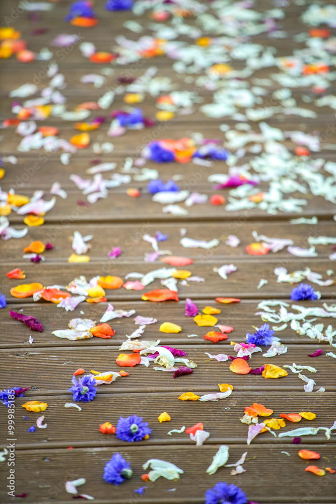 Multicolored rose petals. The wedding ritual.