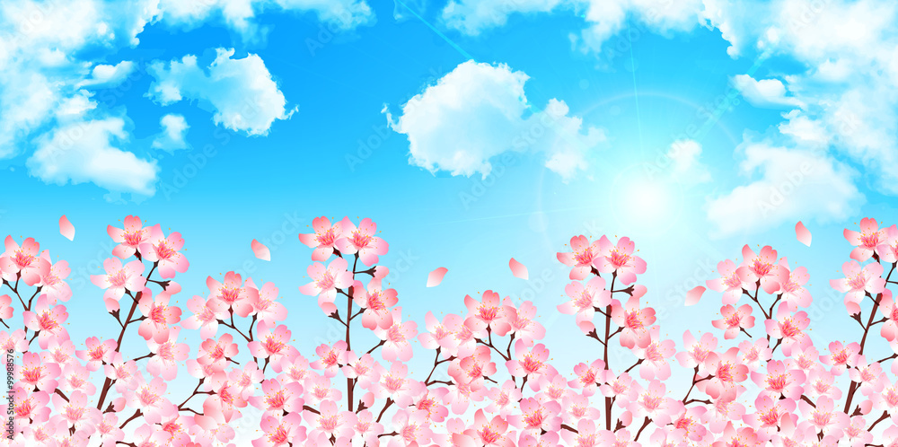 桜 春 花 背景 桜 春 花 背景