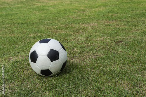 soccer ball on green grass background © sakchaiphoto