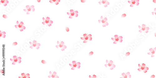 桜　春　花　背景