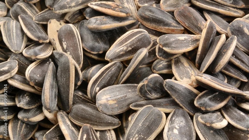 Slide shot across a mound of salted sunflower seeds
Slide shot across a mound of salted sunflower seeds